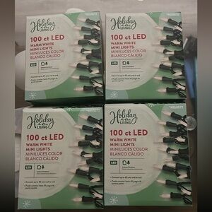 4 boxes of holiday LED lights